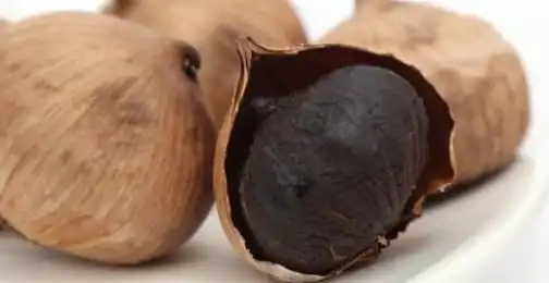Can Black Garlic Extract Lower Cholesterol Levels?
